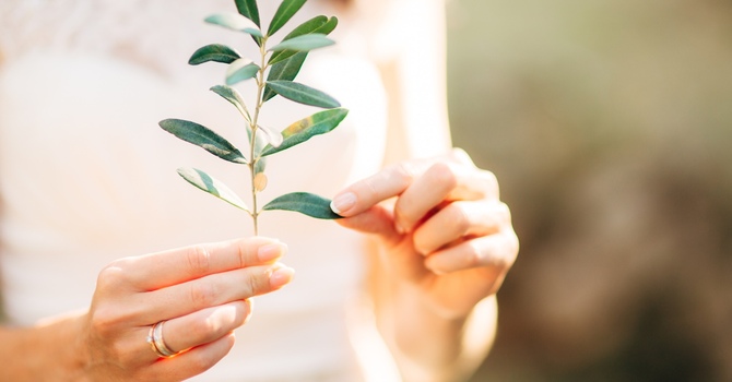 Grieving in Parenthood